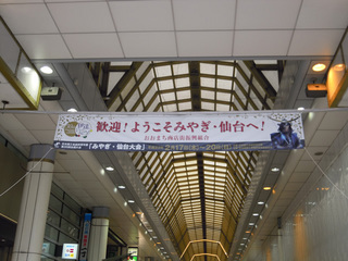DSCN3893.jpg